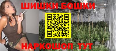 МДПВ Протвино
