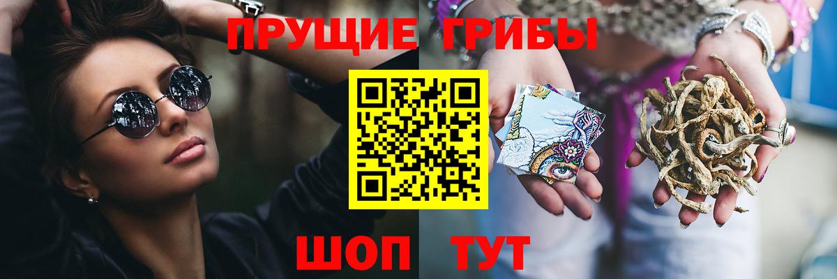 Псилоцибиновые грибы Magic Shrooms  Псилоцибиновые грибы Cubensis  Ковров  Вход с VPN 